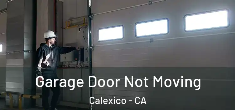  Garage Door Not Moving Calexico - CA