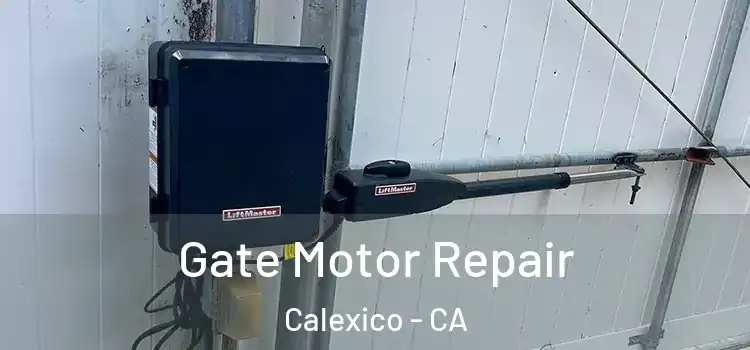 Gate Motor Repair Calexico - CA