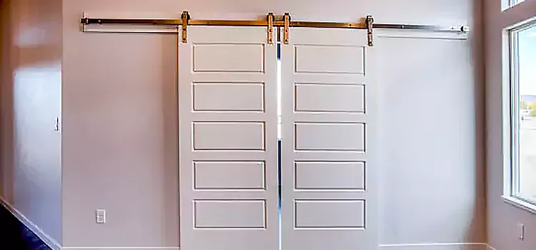 Glass Barn Door with Installation Hardware Kit Calexico